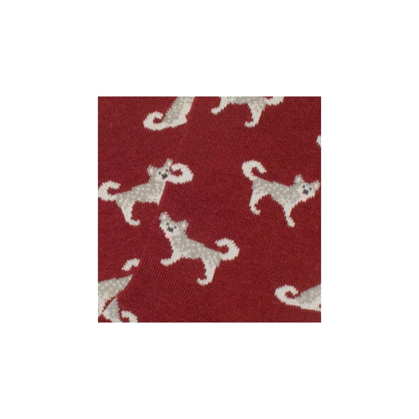 Calcetines Jimmy Lion Huskies Para Niños 