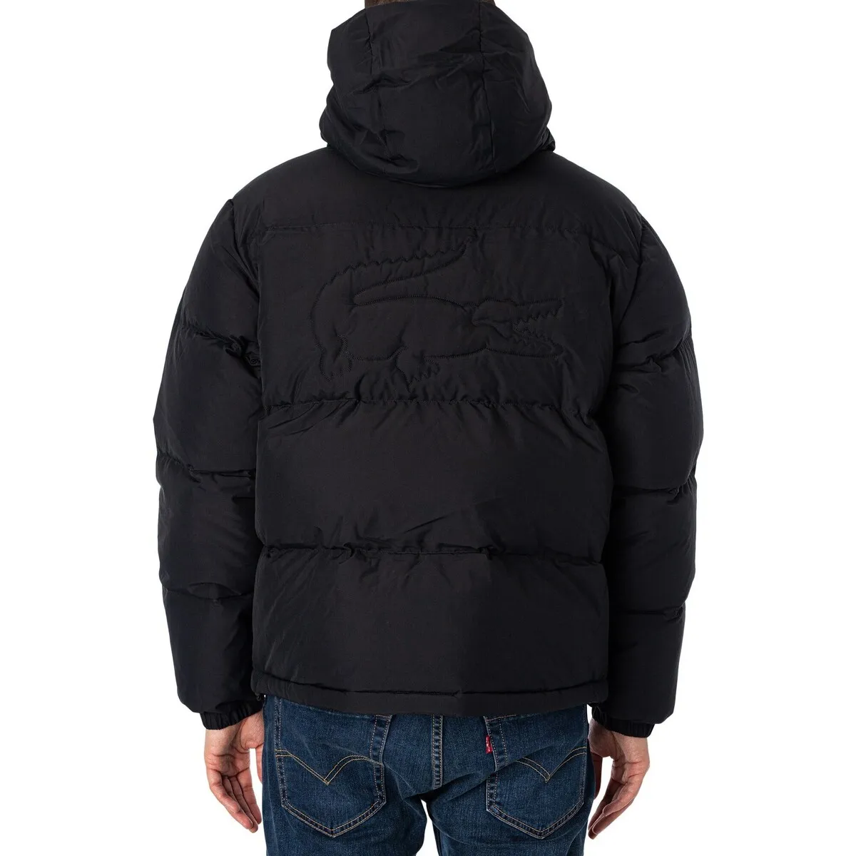 Chaqueta Acolchada Con Logo