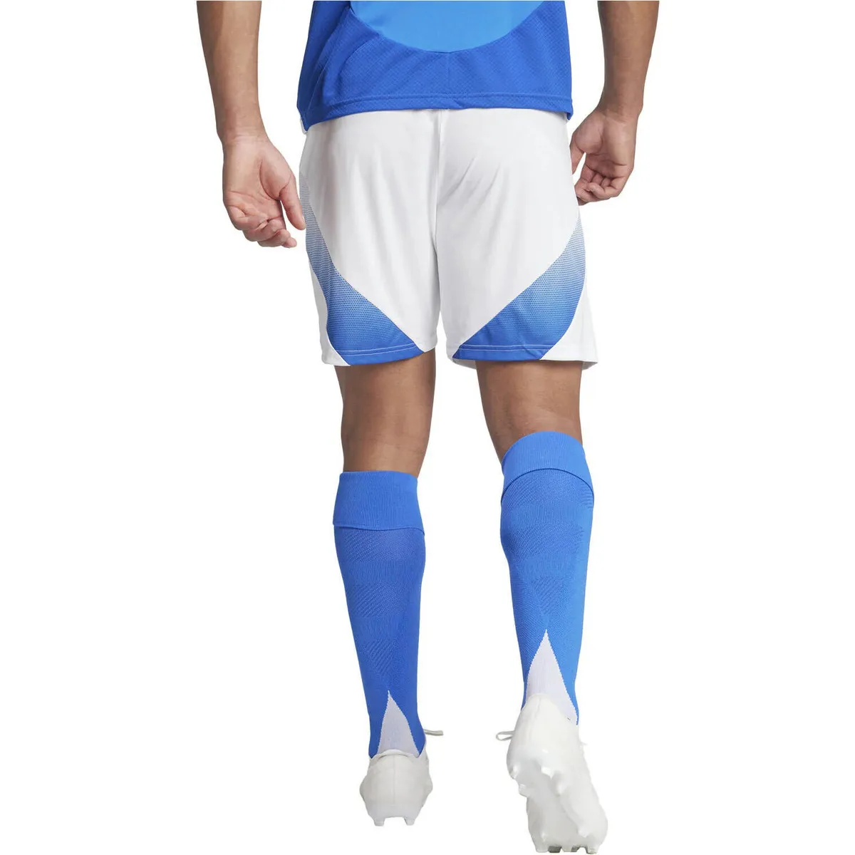 FIGC H SHO