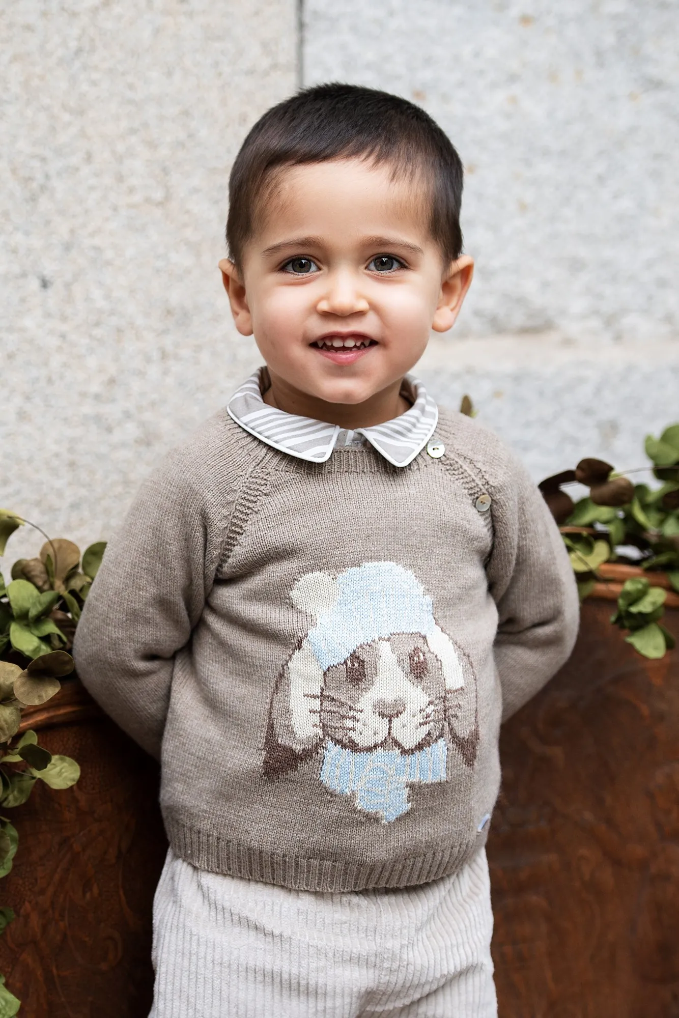 Jersey para niño colección otoño de foque