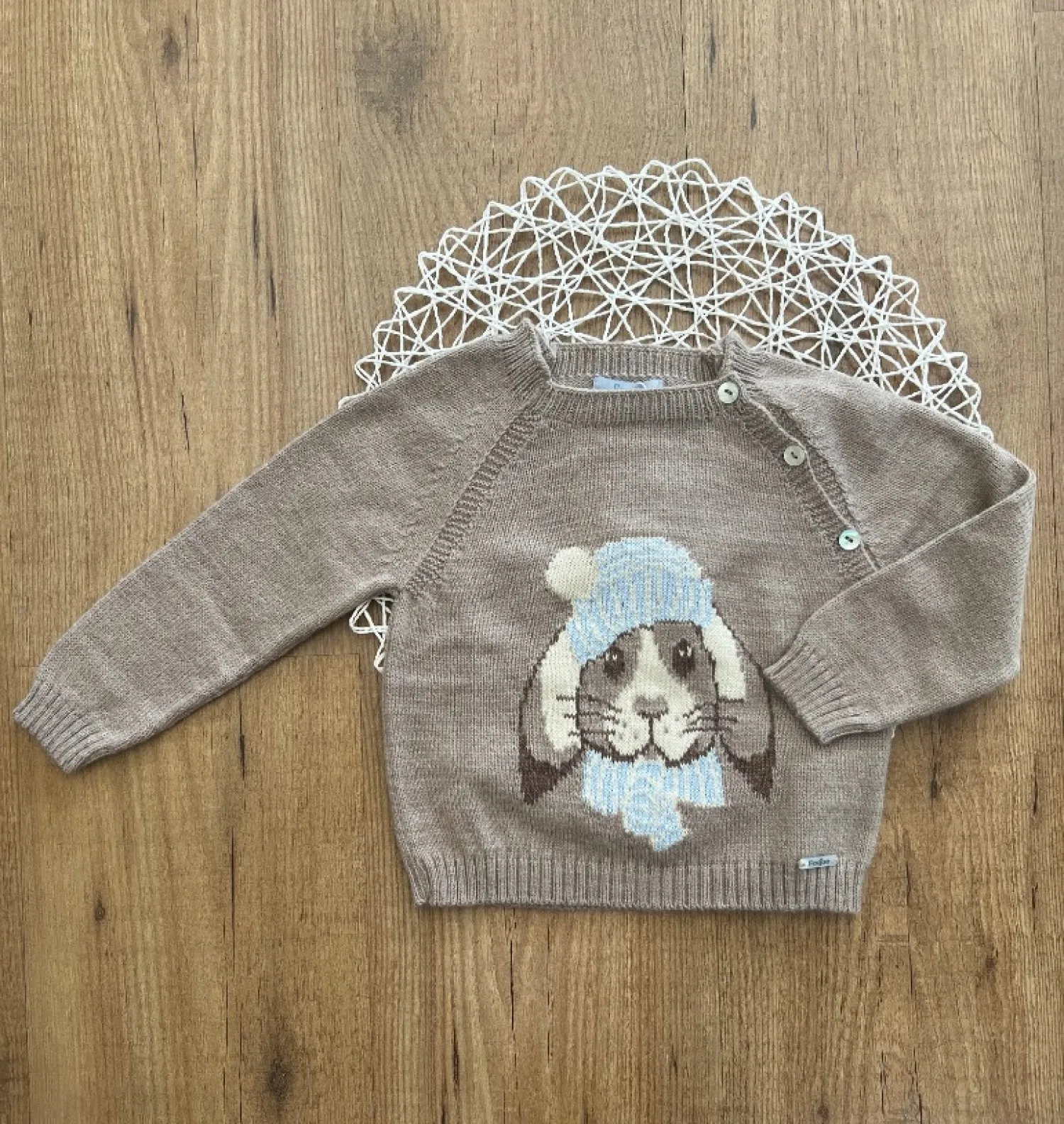 Jersey para niño colección otoño de foque