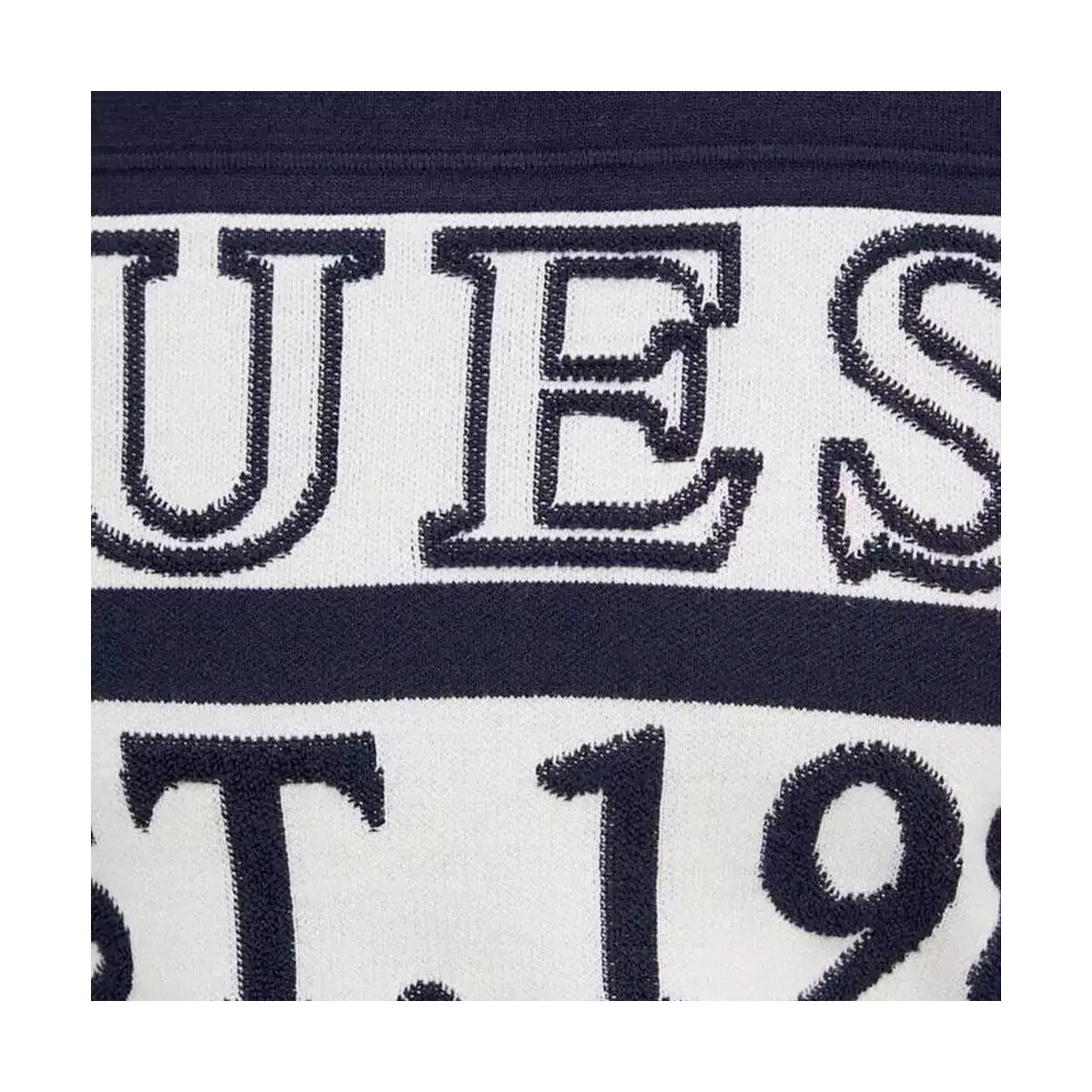 logo est 1981