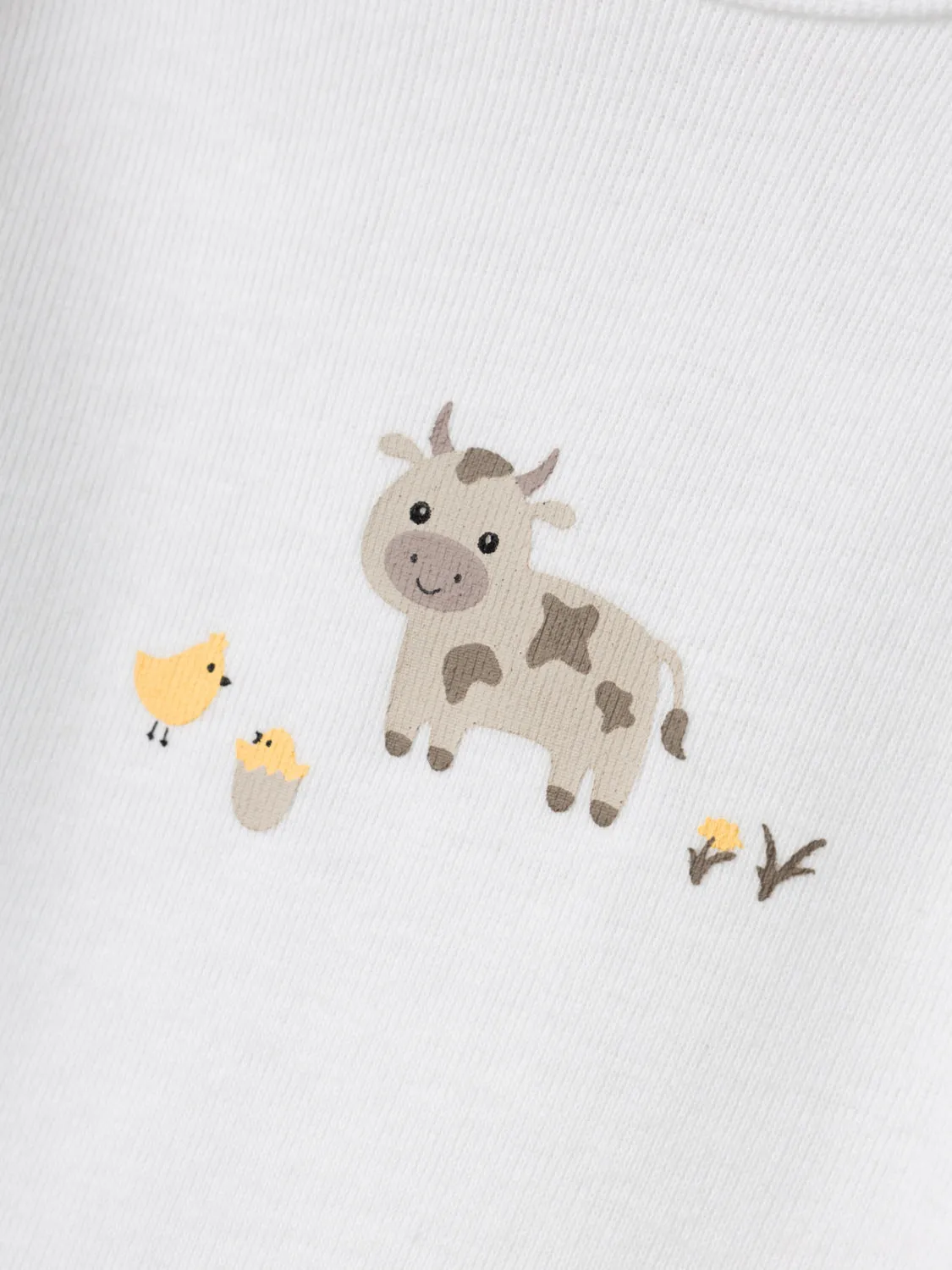 PACK 2 BODIES ANIMAL