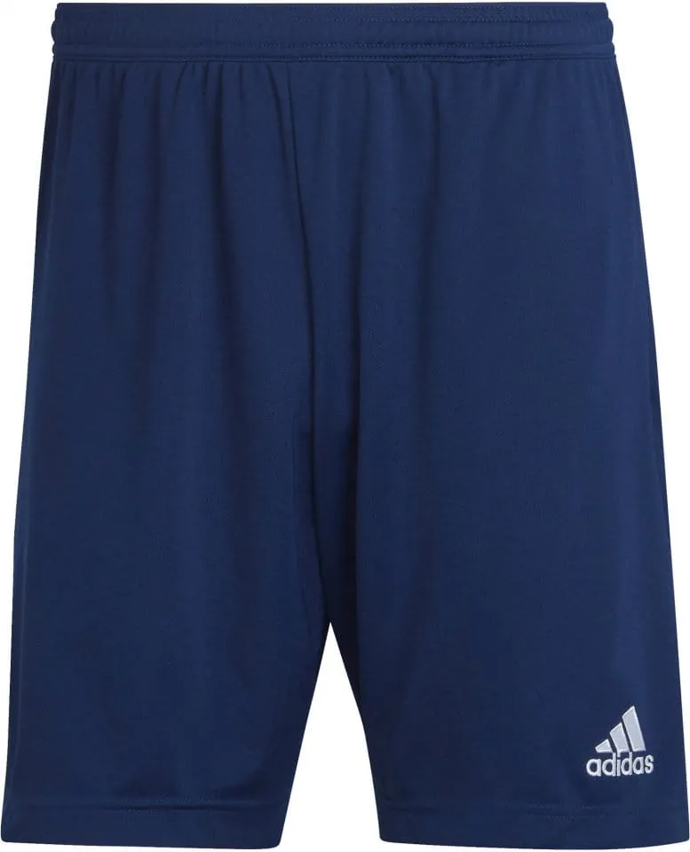 Pantalón corto adidas ENT22 TR SHO